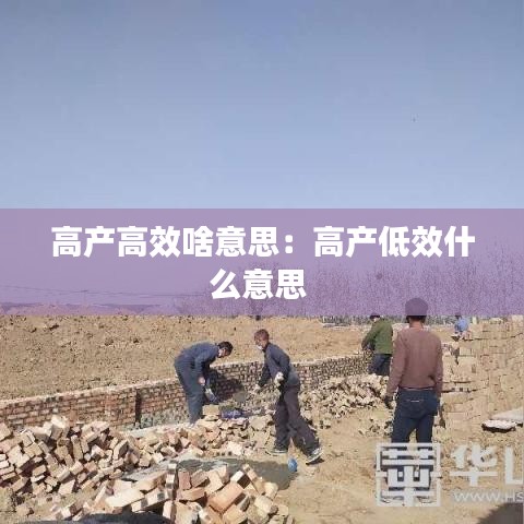 高产高效啥意思：高产低效什么意思 