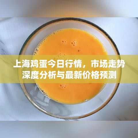 上海鸡蛋今日行情，市场走势深度分析与最新价格预测