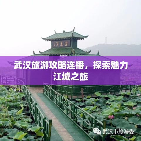 武汉旅游攻略连播，探索魅力江城之旅