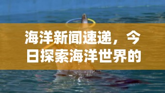 海洋新闻速递，今日探索海洋世界的最新动态与重大发现