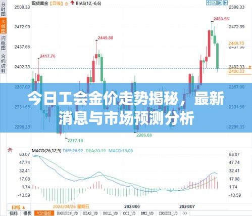 今日工会金价走势揭秘，最新消息与市场预测分析