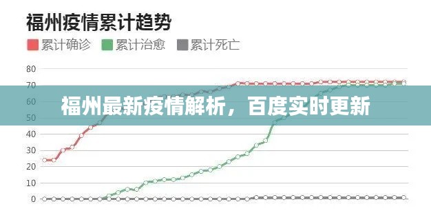 福州最新疫情解析，百度实时更新