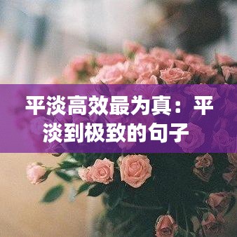 平淡高效最为真：平淡到极致的句子 