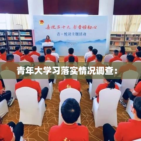 青年大学习落实情况调查： 