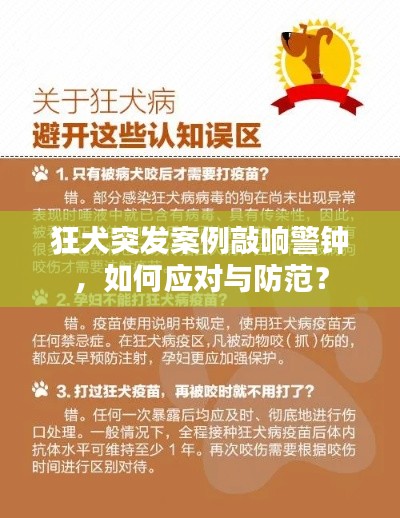 狂犬突发案例敲响警钟，如何应对与防范？