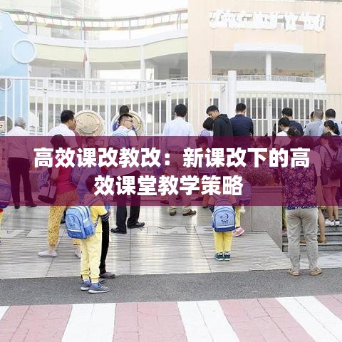 高效课改教改：新课改下的高效课堂教学策略 