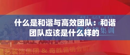 什么是和谐与高效团队：和谐团队应该是什么样的 