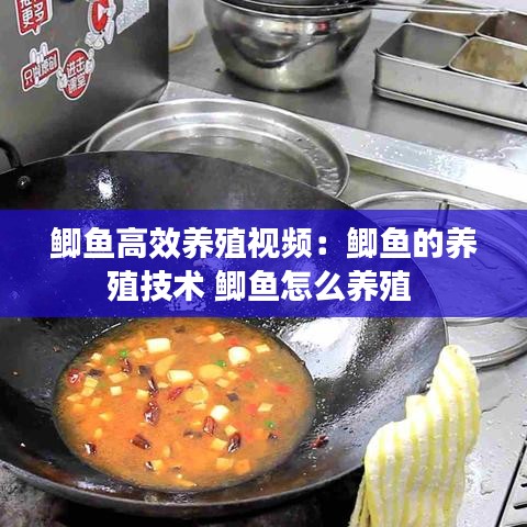 鲫鱼高效养殖视频：鲫鱼的养殖技术 鲫鱼怎么养殖 