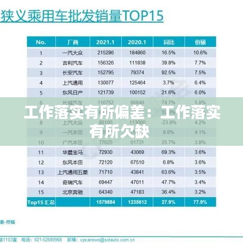 工作落实有所偏差：工作落实有所欠缺 