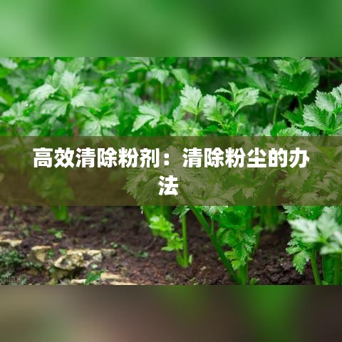 高效清除粉剂：清除粉尘的办法 