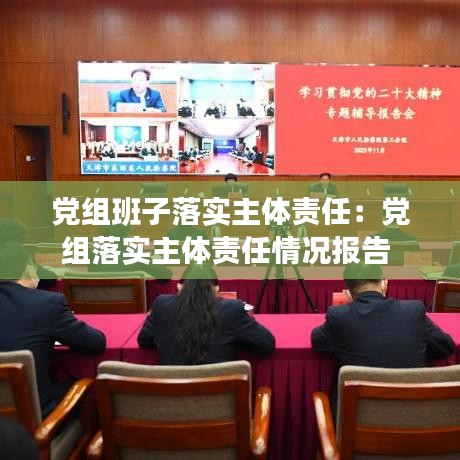 党组班子落实主体责任：党组落实主体责任情况报告 