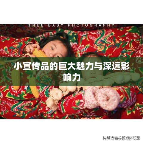 小宣传品的巨大魅力与深远影响力