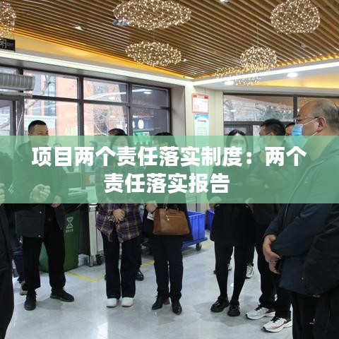 项目两个责任落实制度：两个责任落实报告 