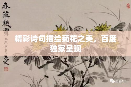 精彩诗句描绘菊花之美，百度独家呈现