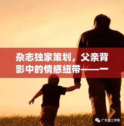 杂志独家策划，父亲背影中的情感纽带——一代人的故事与感悟