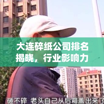 大连碎纸公司排名揭晓，行业影响力与信誉度榜单