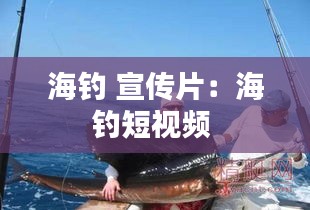 海钓 宣传片：海钓短视频 