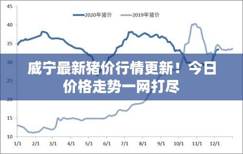 威宁最新猪价行情更新！今日价格走势一网打尽