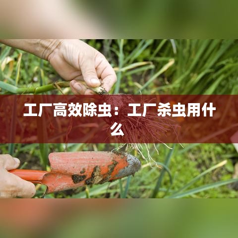 工厂高效除虫：工厂杀虫用什么 