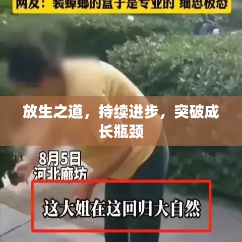 放生之道，持续进步，突破成长瓶颈