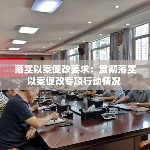 落实以案促改要求：贯彻落实以案促改专项行动情况 