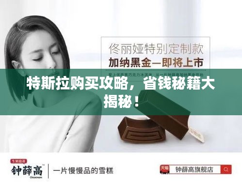 特斯拉购买攻略，省钱秘籍大揭秘！