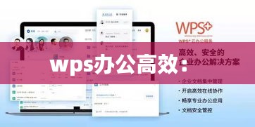 wps办公高效： 