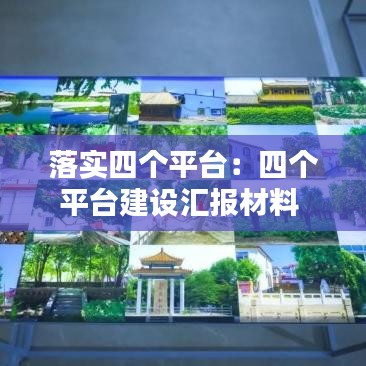 落实四个平台：四个平台建设汇报材料 