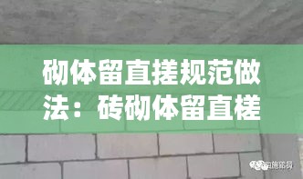 砌体留直搓规范做法：砖砌体留直槎时,为保证砌体的整体性需采取什么措施? 