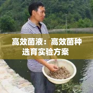 高效菌液：高效菌种选育实验方案 