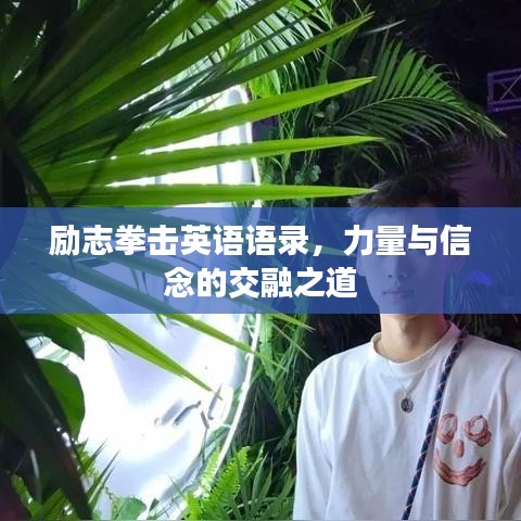 励志拳击英语语录，力量与信念的交融之道