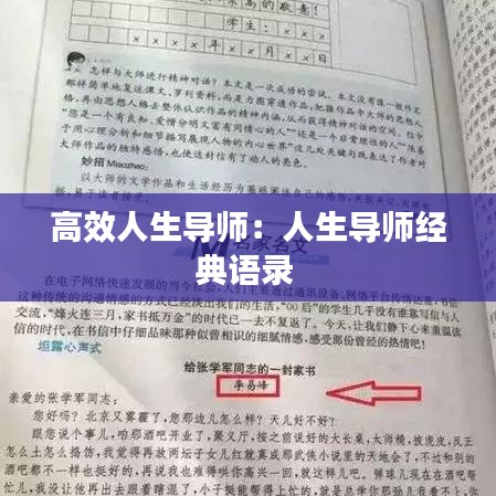 高效人生导师：人生导师经典语录 