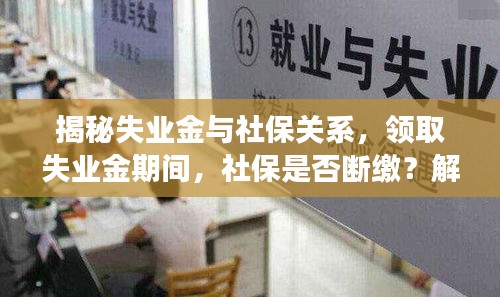 揭秘失业金与社保关系，领取失业金期间，社保是否断缴？解析失业保障制度深度解读