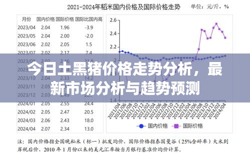 今日土黑猪价格走势分析，最新市场分析与趋势预测