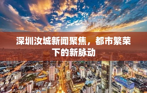 深圳汝城新闻聚焦，都市繁荣下的新脉动