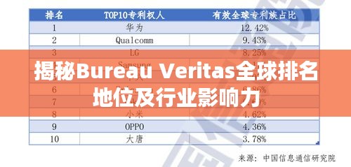 揭秘Bureau Veritas全球排名地位及行业影响力