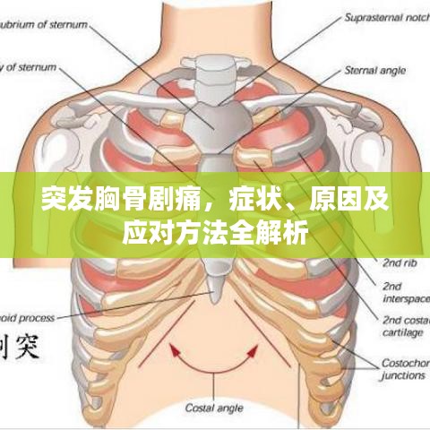 突发胸骨剧痛，症状、原因及应对方法全解析