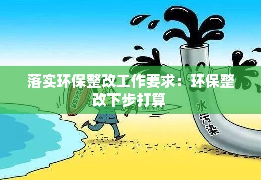 落实环保整改工作要求：环保整改下步打算 