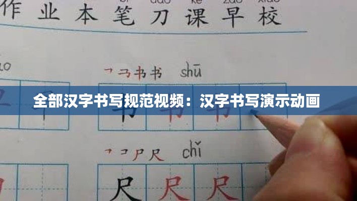 全部汉字书写规范视频：汉字书写演示动画 