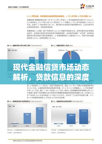 现代金融信贷市场动态解析，贷款信息的深度洞察