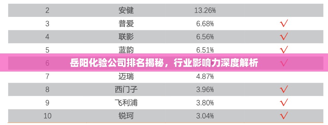 岳阳化验公司排名揭秘，行业影响力深度解析