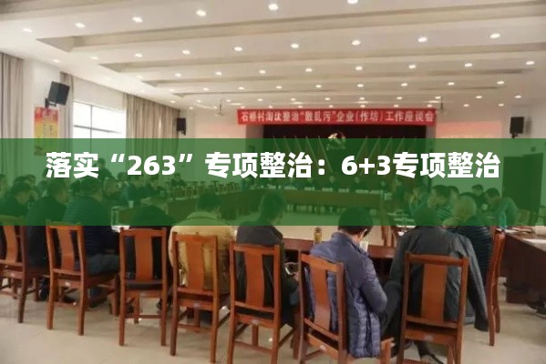 落实“263”专项整治：6+3专项整治 