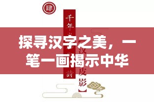 探寻汉字之美，一笔一画揭示中华文化魅力