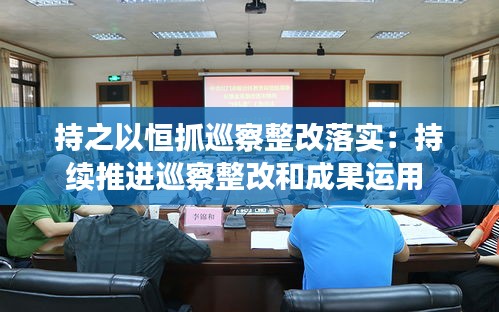 持之以恒抓巡察整改落实：持续推进巡察整改和成果运用 