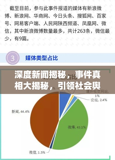 深度新闻揭秘，事件真相大揭秘，引领社会舆论思考