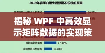 揭秘 WPF 中高效显示矩阵数据的实现策略