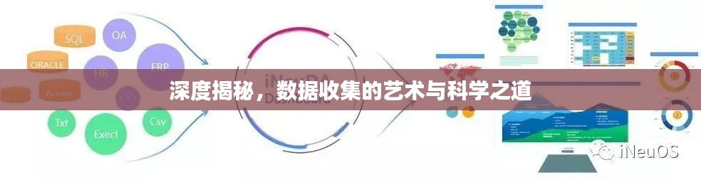 深度揭秘，数据收集的艺术与科学之道