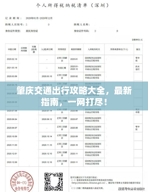 肇庆交通出行攻略大全，最新指南，一网打尽！