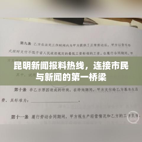 昆明新闻报料热线，连接市民与新闻的第一桥梁