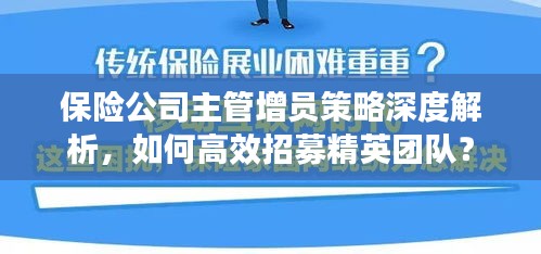 保险公司主管增员策略深度解析，如何高效招募精英团队？